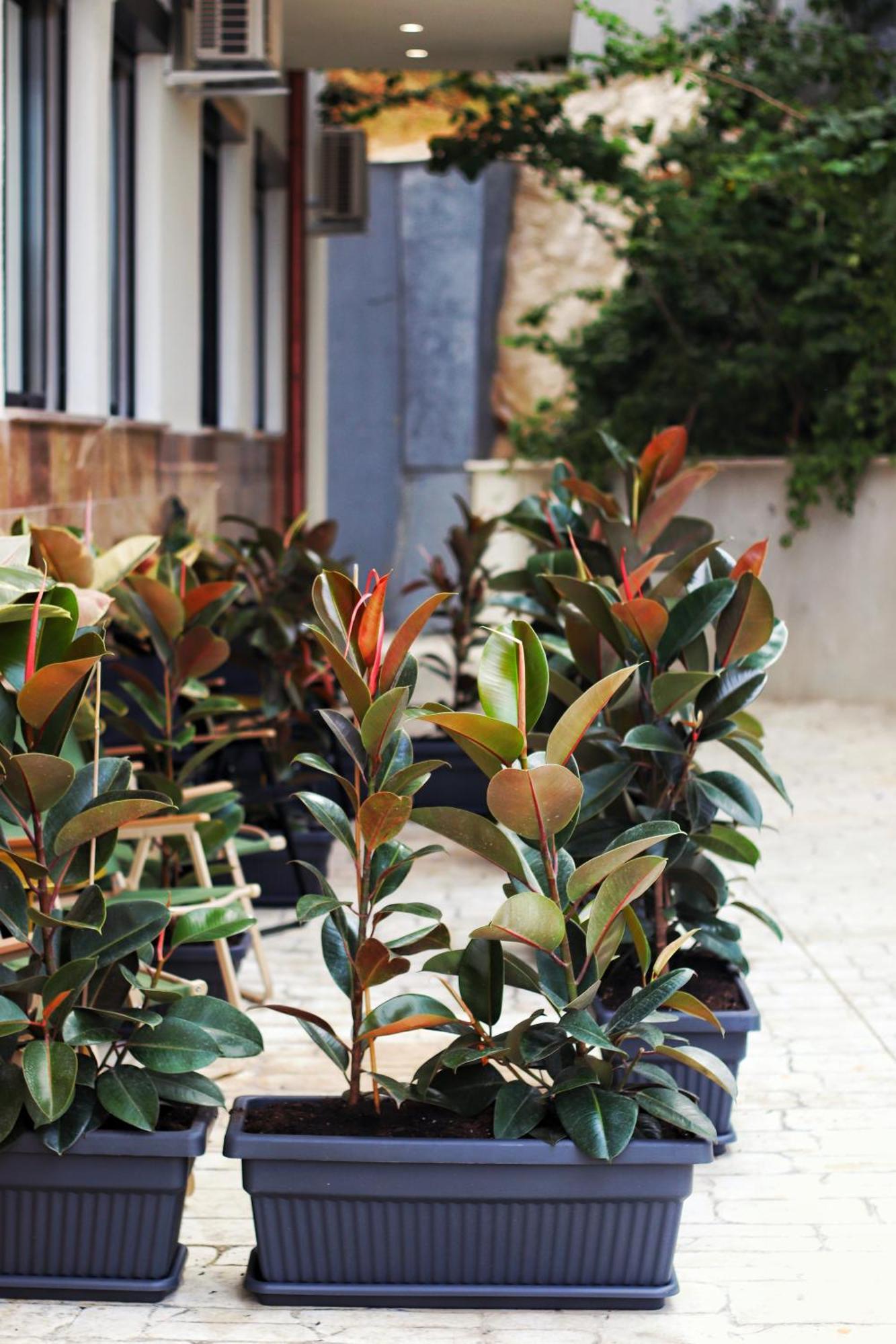 סרנדה Golden Beach Suites מראה חיצוני תמונה